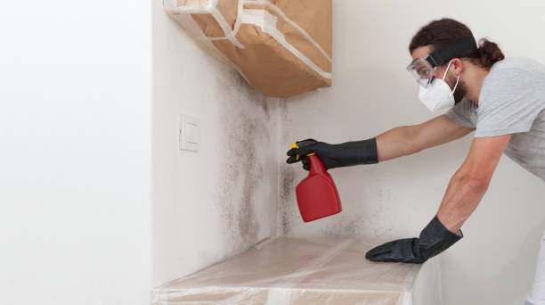 Professional Crawl Space Mold Removal technician working in New Columbia, PA