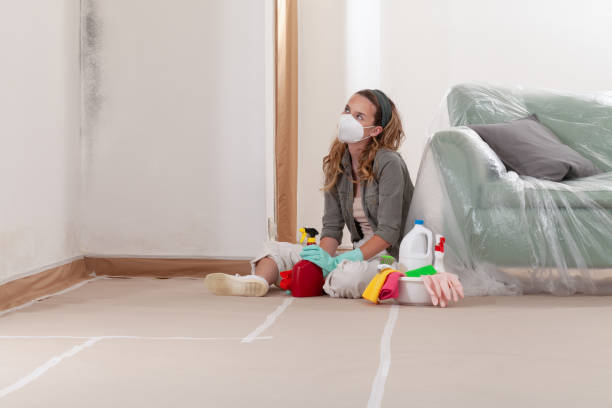 Reliable Crawl Space Mold Removal contractor in New Columbia, PA by WQB Mold Removal