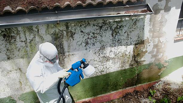 Top rated local Crawl Space Mold Removal specialists in New Columbia, PA